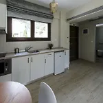 Hatzoudis Luxury Apartamento Chrysi Ammoudia