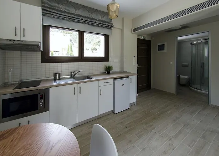 Hatzoudis Luxury Apartament Chrysi Ammoudia